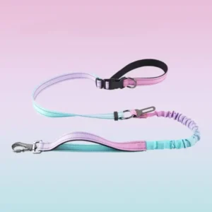 Wholesale hands-free gradient color bungee dog leash with explosion-proof design