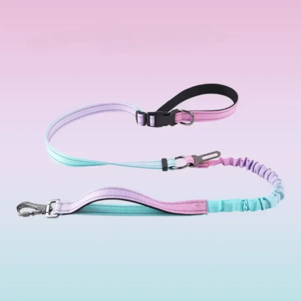 Wholesale Hands-Free Gradient Color Bungee Dog Leash – Explosion-Proof Running & Walking Pet Leash (MOQ 22)