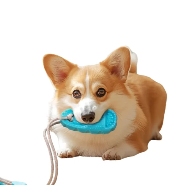 10008 Interactive suction cup dog toy showing teething, chewing, and tugging functions