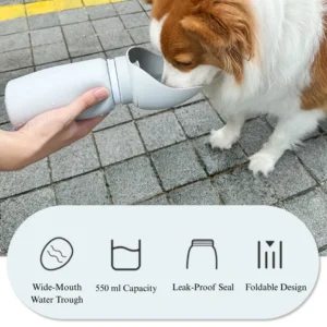 10008 Dog drinking from portable outdoor travel water bottle during walk