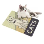 Cute Cat