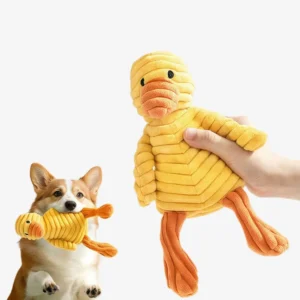 Interactive squeaky plush pet toy showing sound and play function