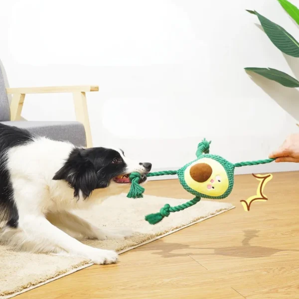 da9803ba202235d0995b7e6440bcce23 Interactive avocado squeaky dog toy with chew-resistant ropes for tug and fetch