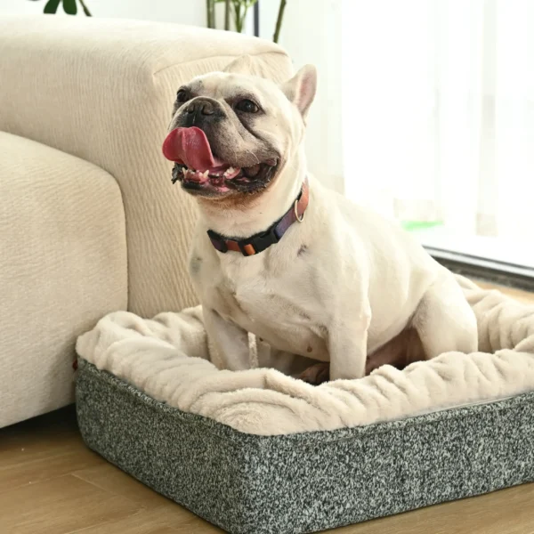 ec2d92f016f36b8eda8d8d5537688f1c Small dog resting on plush foam-filled sofa bed, cozy pet cushion for home use