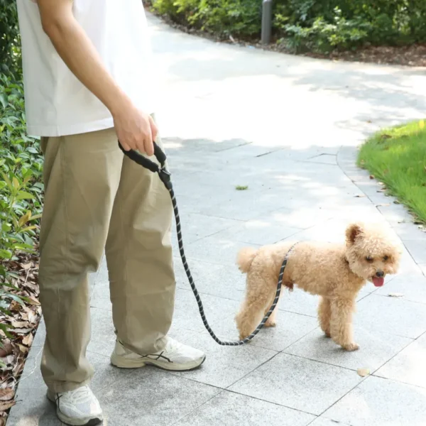 3c5a611cf63b5b47c562d4186157a9e1 Pet owner walking dog using reflective rope leash with padded handle during outdoor walk