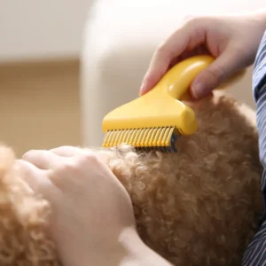 Demonstration of one-click fur release button on pet grooming rake for easy cleaning