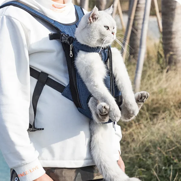 4eeeafb91f887c89bd8e2d99cd0f19e2 Pet owner carrying small dog in Oxford front pack during outdoor walk