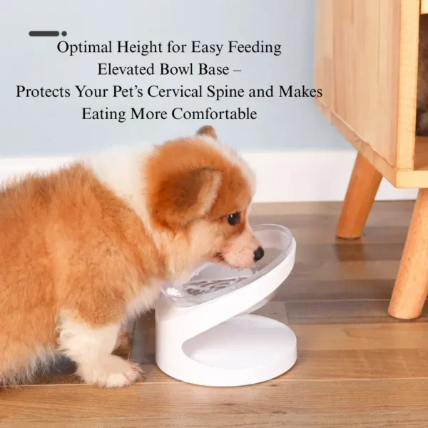 a3b11489354169042772b643f693586e Cat eating from raised tilted feeding bowl with neck protection
