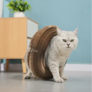 b3863b91b08f236a26ac158e451d9cd6 Cat playing with accordion interactive scratching board with bell