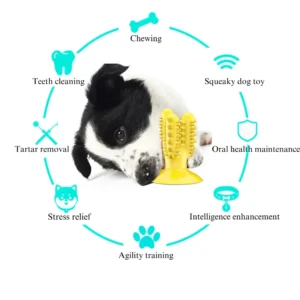 d9696fd56deffa9371dd39f1f3d90038 Cactus chew toy showing toothbrush-like spikes for plaque removal and gum massage