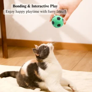 Cats playing with colorful foam soccer ball toys on indoor floor, interactive playtime.