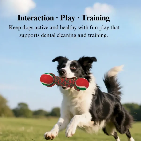 ecebb13134825a7636437f6020b9d70b Dog playing with Christmas rope dumbbell toy with tennis balls
