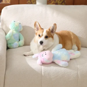 Dog playing with colorful frog plush squeaker toy indoors