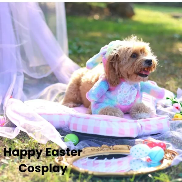 10006 Hooded design offering head and ear protection for pets during outdoor events.
