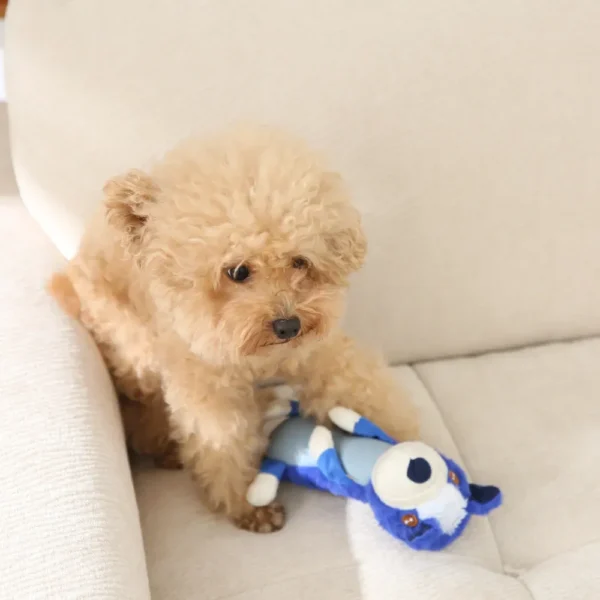 1075a87f664eeb98e927f0c80ca2e5d5 Dog playing with cute dog-shaped squeaky plush toy indoors