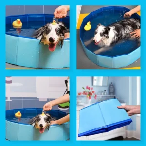 Step-by-step folding and unfolding dog pool demonstration