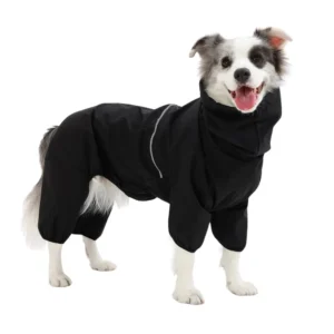 Dog jacket color option in black