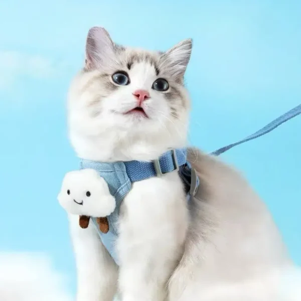 10005 Cat using the adjustable harness and leash set in a pet-friendly environment.