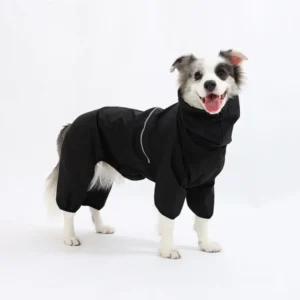 10008 Dog jackets displayed on retail store rack