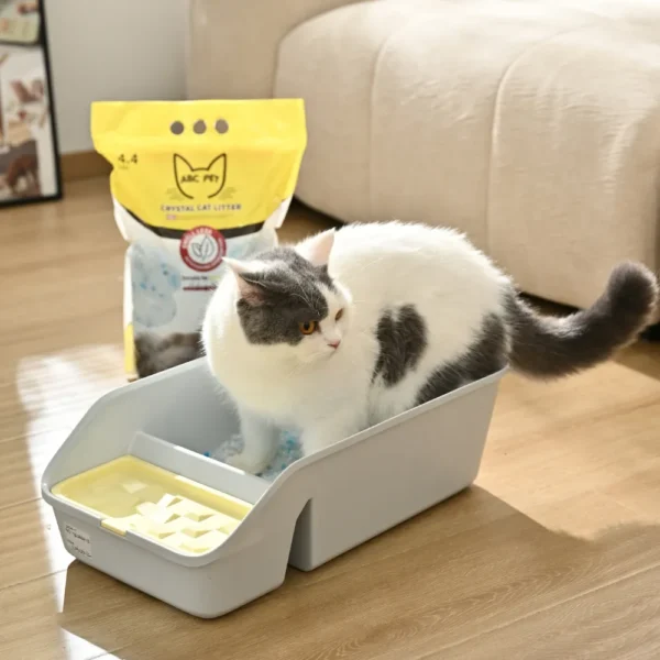 10001 Crystal cat litter used in indoor cat litter box for clean and odor-free environment