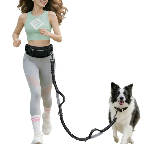 Wholesale Hands-Free Retractable Dog Leash with Running Waist Belt – Shock Absorbing Bungee Dog Lead for Jogging, Training & Walking