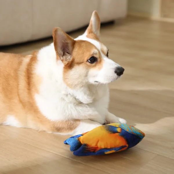 10004 small dog playing with realistic fish plush squeaky toy indoors