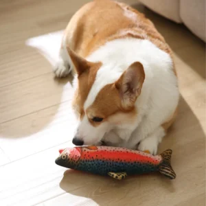 interactive plush dog toy with built-in squeaker rainbow trout shape