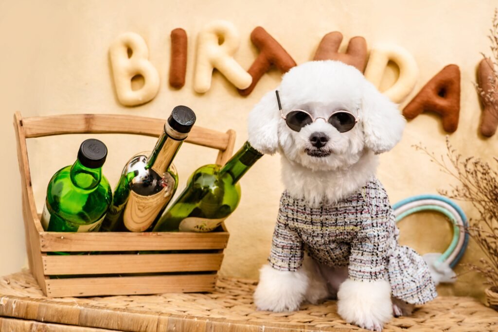 Pet Holiday Retail Calendar: Plan Birthday, Christmas and Halloween Sales