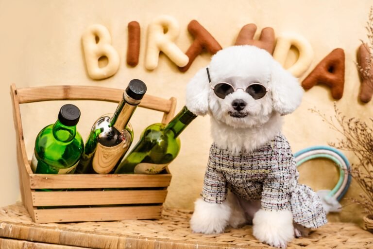 Pet Holiday Retail Calendar: Plan Birthday, Christmas and Halloween Sales — product photo