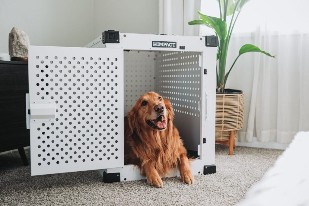 Wholesale Dog Products Guide: Toys, Walking, Grooming, Training & Wellness