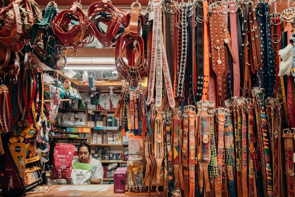 Dog Store Startup Checklist: What to Buy First, What to Skip