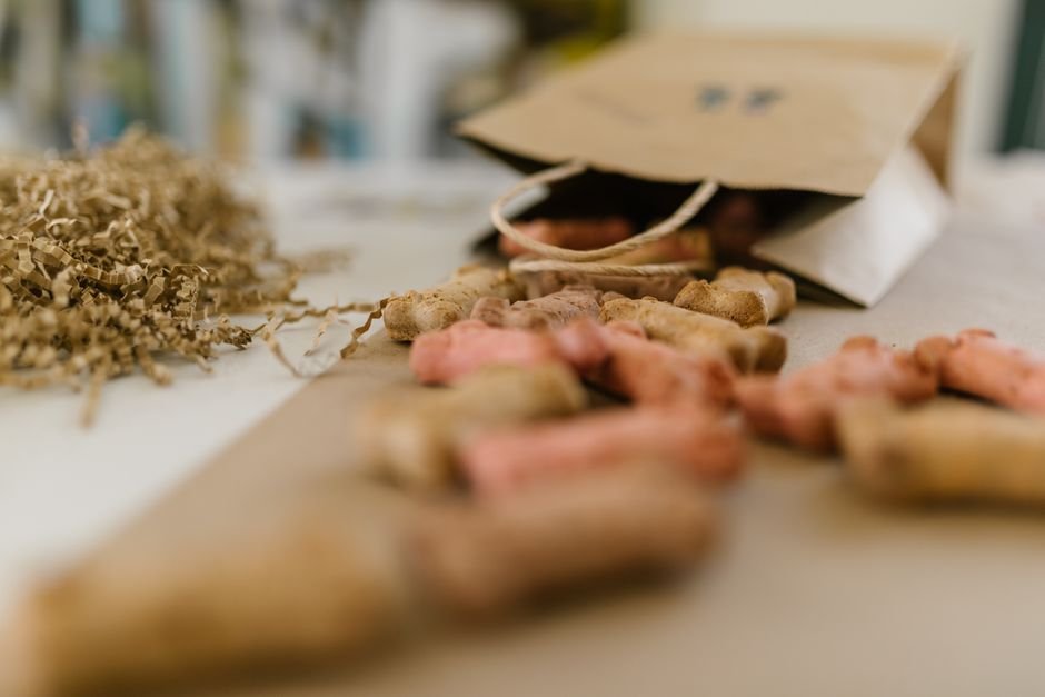 The Rise of Sustainable & Eco Pet Products: A Buying Guide