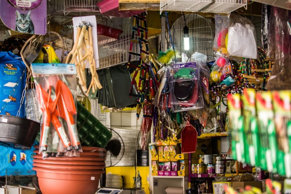 How to Stock Your First Pet Store Shelf: A Beginner's Buying Guide with KITs
