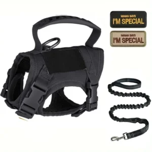 Tactical Cat and Small Dog Harness Leash Set with Handle and Patches | Wholesale Dog Harnesses
