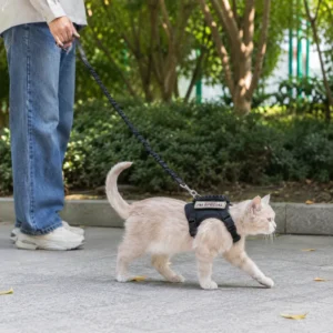 cchwm0264595-05.webp Tactical Cat and Small Dog Harness Leash Set with Handle and Patches – product view 5