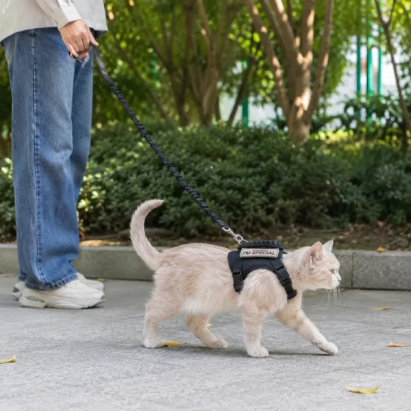 cchwm0264595-05.webp Tactical Cat and Small Dog Harness Leash Set with Handle and Patches – product view 5