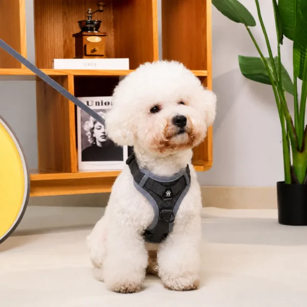 cchwm0264790-04.webp Breathable Adjustable Pet Harness and Leash Set for Cats and Small Dogs – product view 4