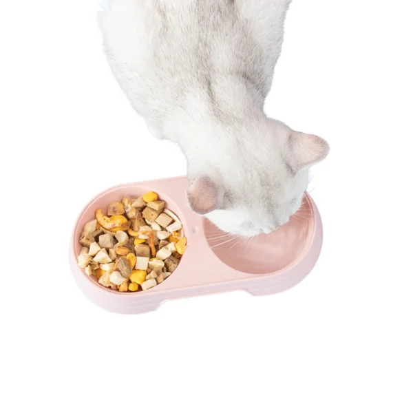 cfwwm0126332-05.webp Double Cat Bowls Water and Food Dog Pet Bowls – product view 5