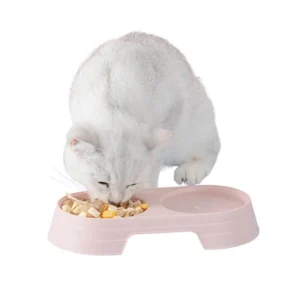 cfwwm0126332-06.webp Double Cat Bowls Water and Food Dog Pet Bowls – product view 6