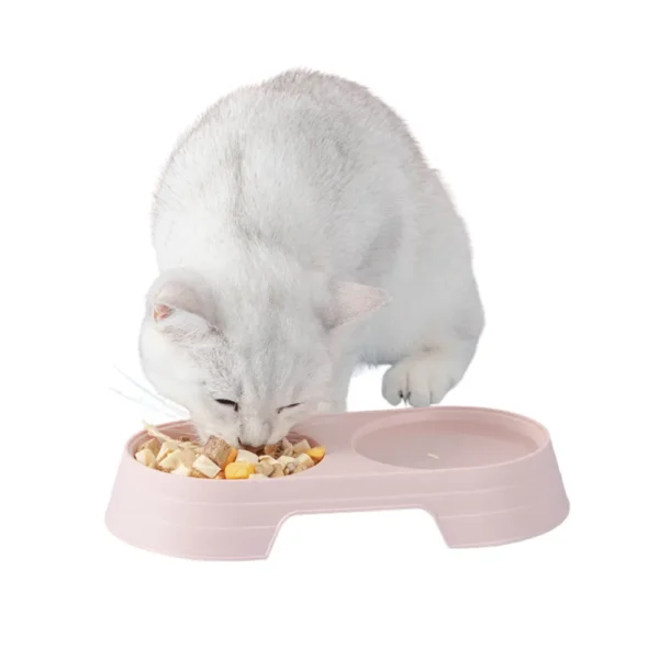 cfwwm0126332-06.webp Double Cat Bowls Water and Food Dog Pet Bowls – product view 6