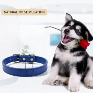 Multi Size Solid Colour Classic Design Adjustable Metal Buckle PU Leather Dog Collar – product view 4