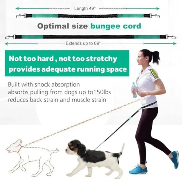 dchwm0002229-03.webp Outdoor Sports Reflective Dog Leash with Bag – product view 3
