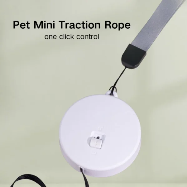 dchwm0003455-05.webp 3 Meter Traction Rope Mini Palm Small Dog Retractable Leash – product view 5