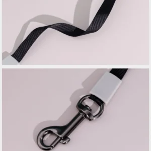 dchwm0003455-06.webp 3 Meter Traction Rope Mini Palm Small Dog Retractable Leash – product view 6