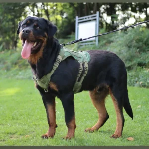 Tactical Dog Harness Vest Oxford Fabric for Large Dogs – product view 2