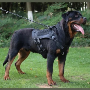 Tactical Dog Harness Vest Oxford Fabric for Large Dogs – product view 3