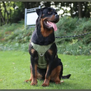 Tactical Dog Harness Vest Oxford Fabric for Large Dogs – product view 4