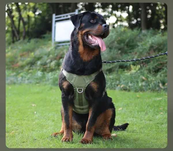 dchwm0009009-04.webp Tactical Dog Harness Vest Oxford Fabric for Large Dogs – product view 4
