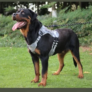 dchwm0009009-06.webp Tactical Dog Harness Vest Oxford Fabric for Large Dogs – product view 6
