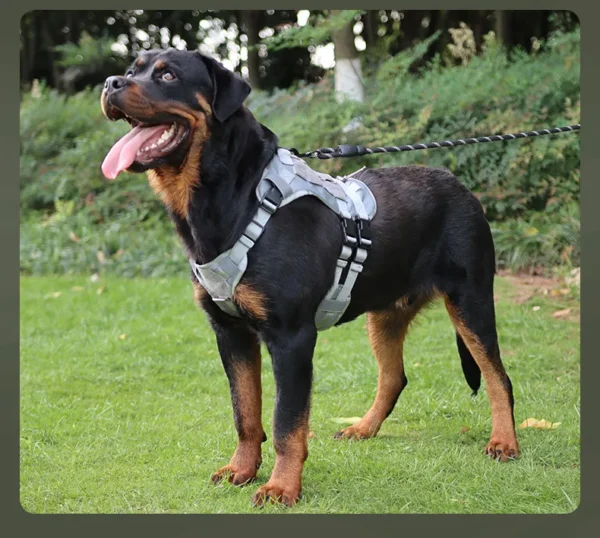 dchwm0009009-06.webp Tactical Dog Harness Vest Oxford Fabric for Large Dogs – product view 6